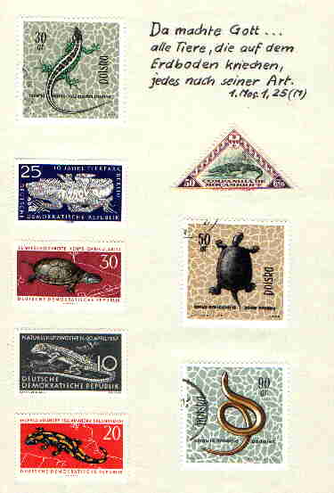 b01a.jpg (20060 Byte)