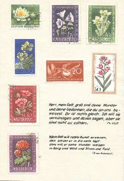 b21.jpg (33025 Byte)