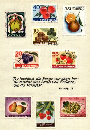b22.jpg (45579 Byte)